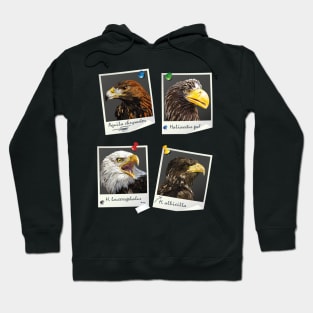 Birds of prey Hoodie